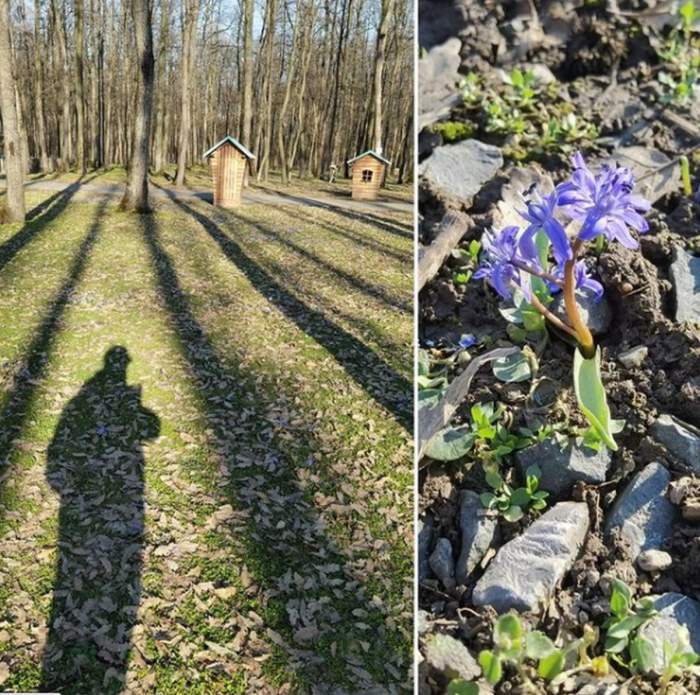 Andreea Marin se relaxa într-un parc de aventură, cu doar câteva ore înainte ca hoții să încerce să pătrundă în locuința sa