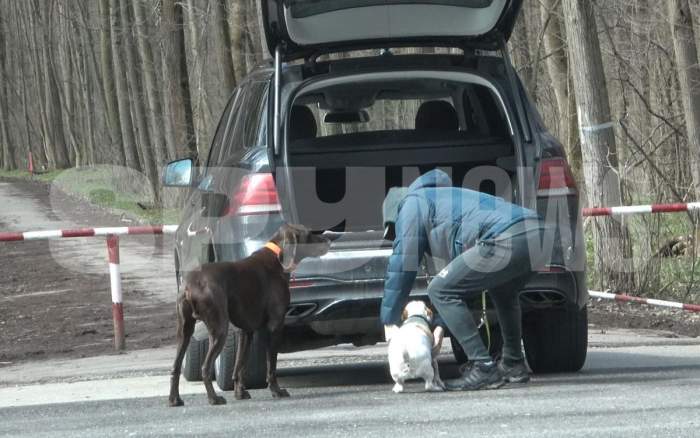 viorel moldovan urca cateii in masina