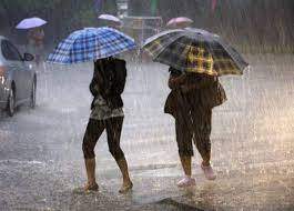 Două persoane care merg prin ploaie , cu umbrele în mână