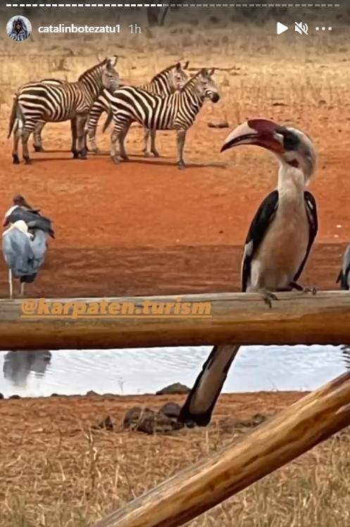 Cătălin Botezatu a dat luxul pe sălbăticie. Designerul se bucură de peisaje incredibile în savana din Kenya / FOTO