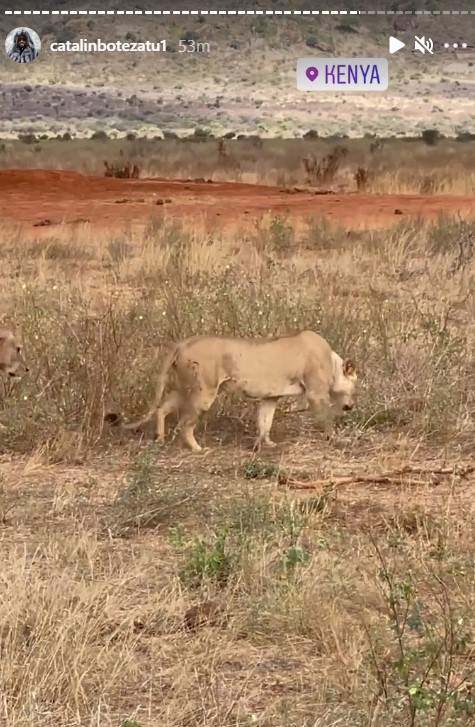 Cătălin Botezatu a dat luxul pe sălbăticie. Designerul se bucură de peisaje incredibile în savana din Kenya / FOTO