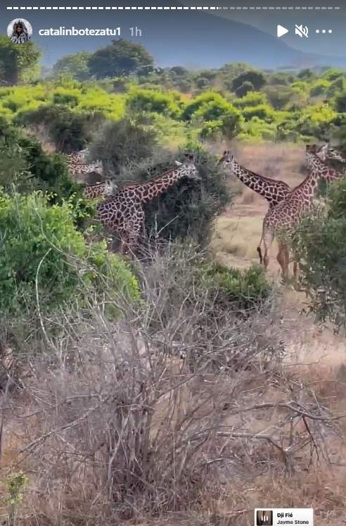 Cătălin Botezatu a dat luxul pe sălbăticie. Designerul se bucură de peisaje incredibile în savana din Kenya / FOTO