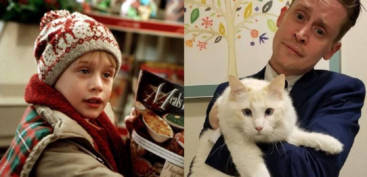 Un colaj cu Macaulay Culkin. În prima poză era în filmul „Singur acasă”, iar în a doua poartă costum albastru și ține în brațe o pisică.
