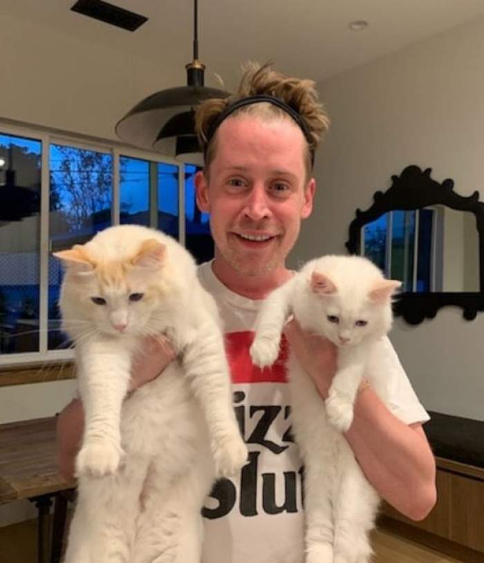 Macaulay Culkin poartă un tricou alb și ține gura deschisă. Actorul ține în mâini doup pisici albe.