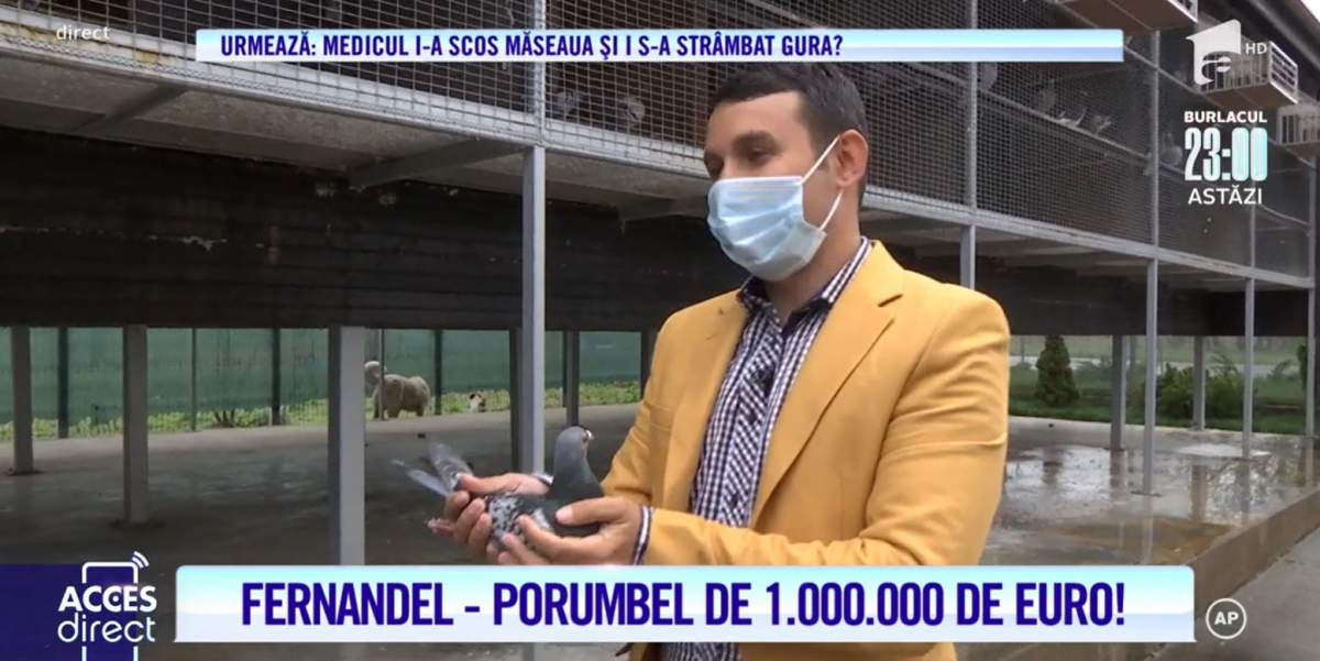 Acces Direct. Fernando de la Caransebeș a devenit afacerist. A lăsat manelele și a devenit crescător de porumbei: „Visul meu cel mai mare” / VIDEO