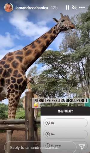 Andreea Bănică a plecat într-o vacanță exotică printre girafe! Ce destinație a ales artista / FOTO