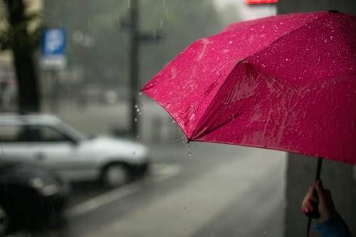 umbrelă roz în ploaie