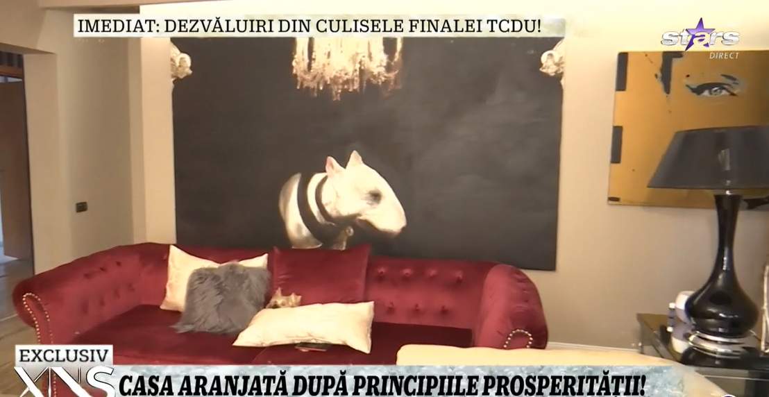 Cum arată apartamentul de lux al Vicăi Blochina! Vedeta a spus la Xtra Night Show că e colecționară de tablouri scumpe / VIDEO