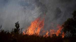 Incendii devastatoare în apropiere de Atena. Mulți locuitori au rămas fără case