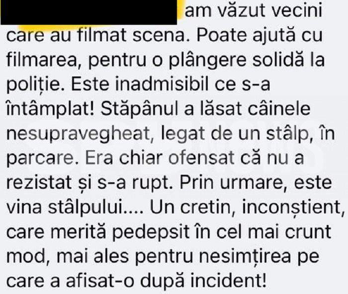 EXCLUSIV / Atacați de un câine lup, umiliți de poliție / Agenții de la Secția 26 au zis că n-au chef să meargă pe teren, unde un cățeluș a fost ucis