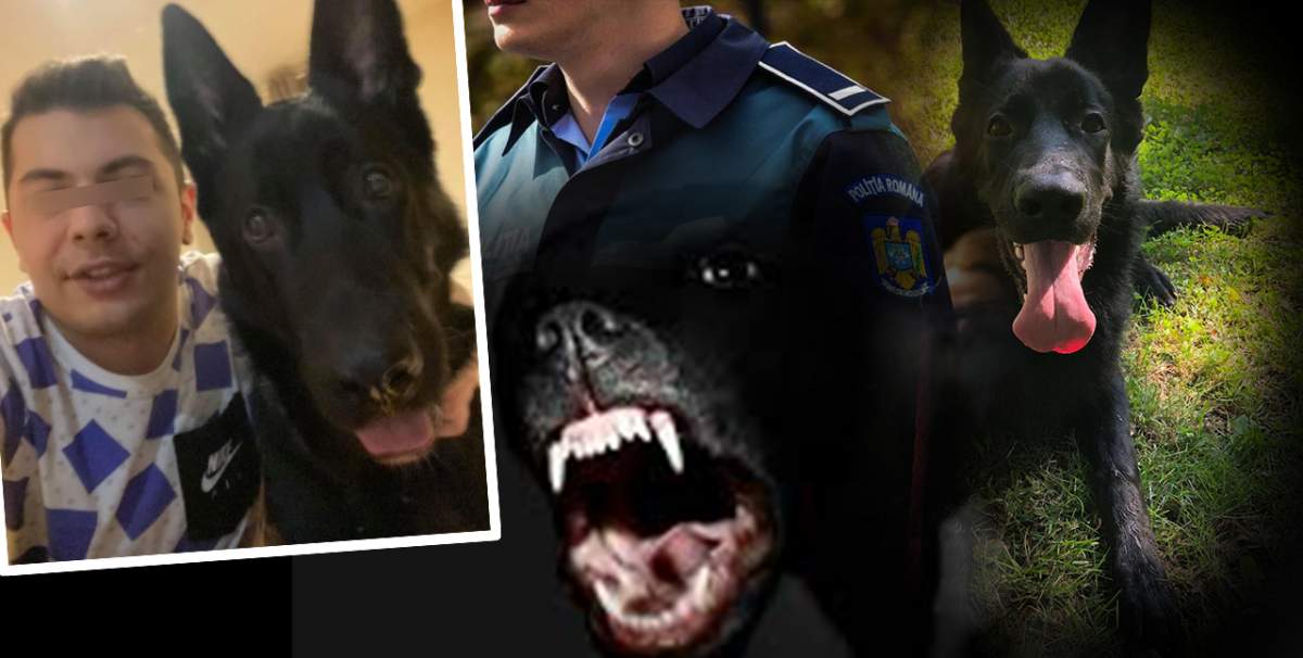 EXCLUSIV / Atacați de un câine lup, umiliți de poliție / Agenții de la Secția 26 au zis că n-au chef să meargă pe teren, unde un cățeluș a fost ucis