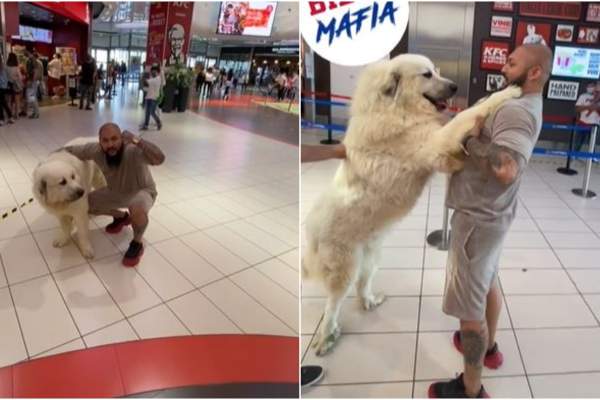 Dani Mocanu, aroganță maximă într-un mall din Monaco. Incredibil cum s-a afișat artistul, în văzul tuturor / VIDEO