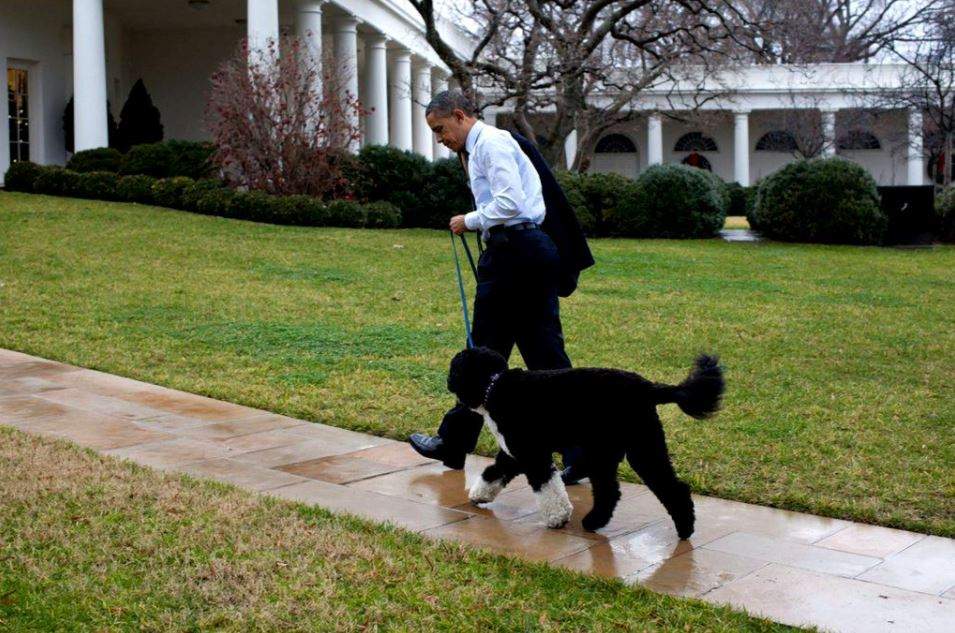 Doliu în familia lui Barack Obama. O ființă dragă fostului președinte al Americii a murit: „Ne va fi dor de el” / FOTO