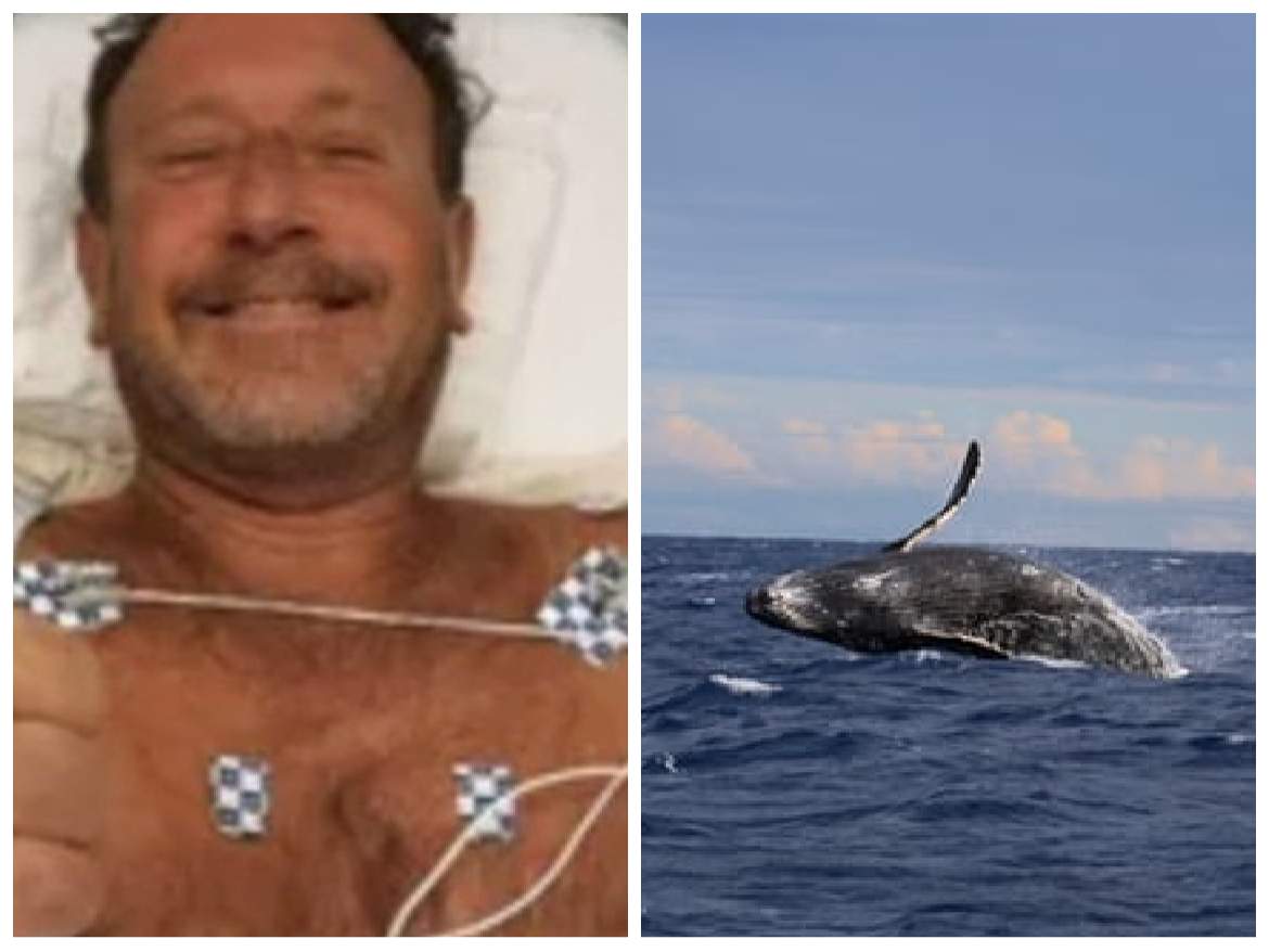 Colaj u scafandrul salvat și o balenă în apă