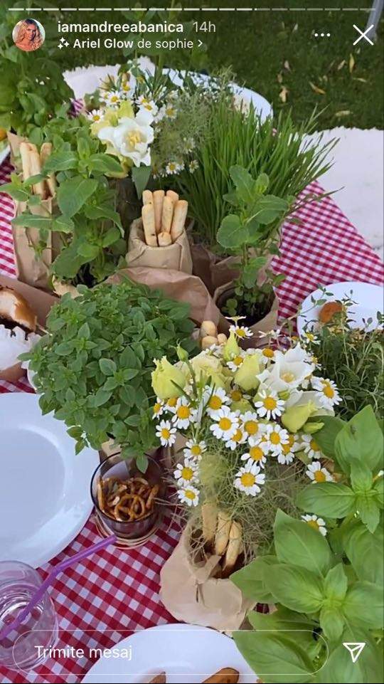 Mâncarea de botezul fiicei lui Smiley și a Ginei Pistol este servită sub formă de picnic și ornată cu verdețuri și mușețel. Se văd niște grisine și covrigei.