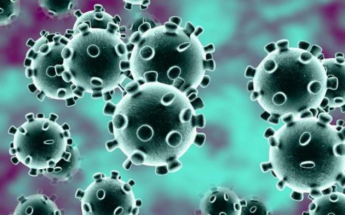 Ce este tulpina Delta Plus a coronavirusului și prin ce este diferită. În ce țări a fost identificată până acum