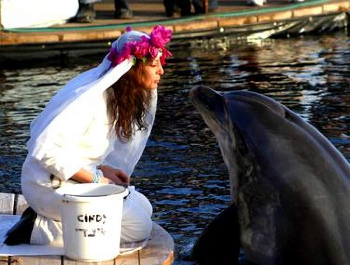 Momente tragice pentru milionara care s-a măritat cu un delfin. "Soțul" ei a murit. "Nu mă voi recăsători vreodată"