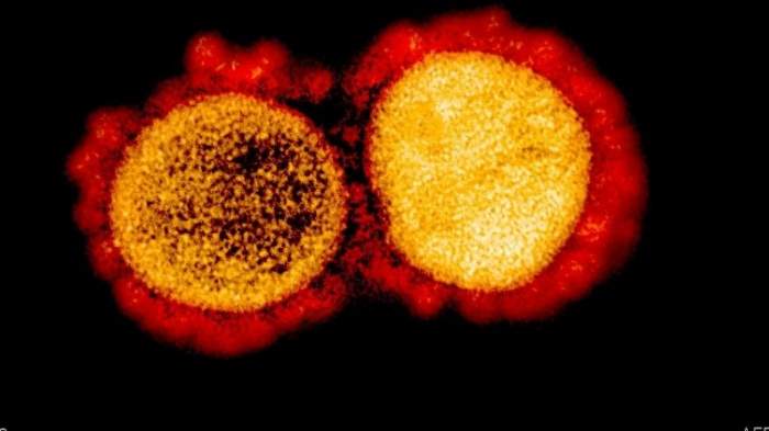 Ce este tulpina Kappa de coronavirus, tot mai răspândită în Italia