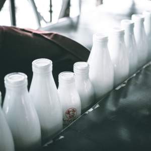 Ce conține laptele de vacă și cât este de sănătos, de fapt