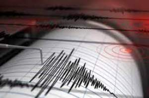 Un nou cutremur a zguduit România marți dimineața. În ce zonă s-a produs seismul