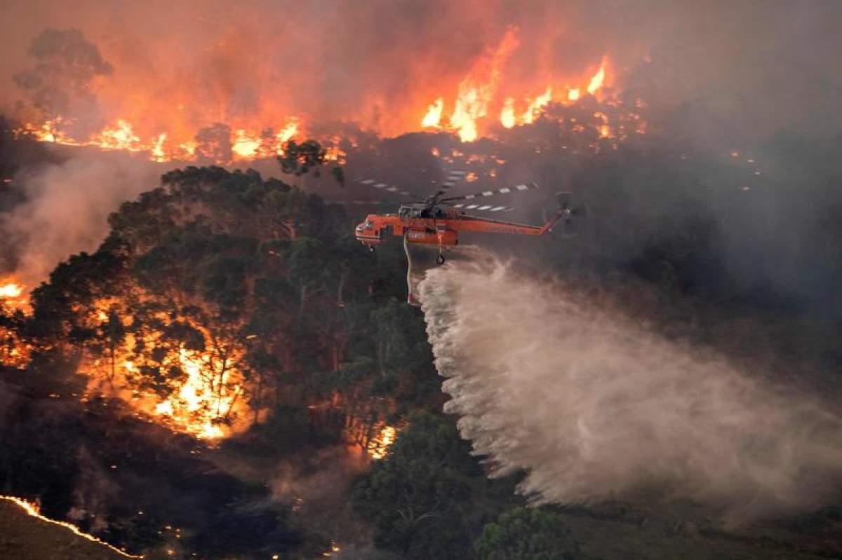 Canicula face prăpăd în Rusia. 800.000 de hectare de pădure au ars în urma incendiilor de vegetație