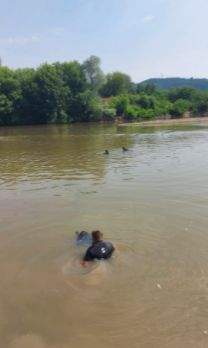 Salvatorii căutând victimele în râul Mureș