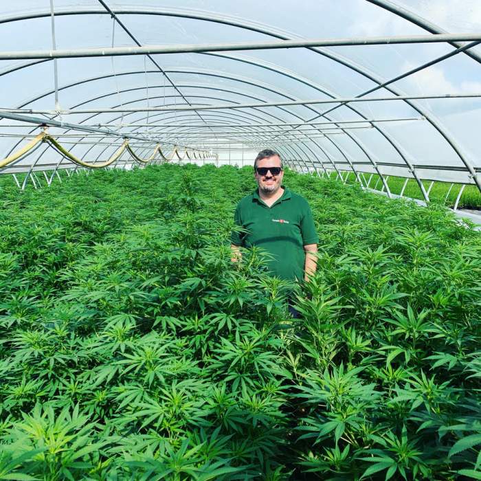 O companie de familie din Elveția oferă românilor produse din cannabis (P)