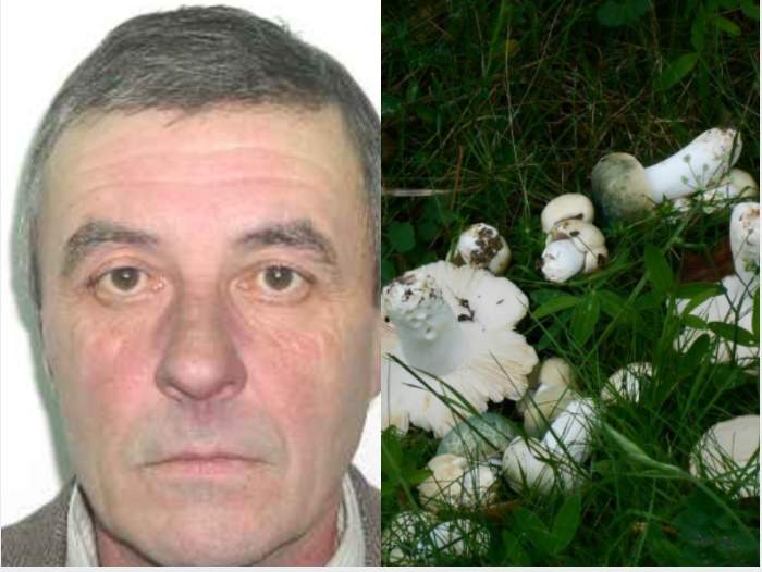 Un bărbat din Gura Humorului a fost găsit mort, după ce a plecat să culeagă ciuperci din pădure. Care a fost cauza decesului