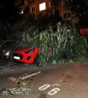 Mesaj RO-ALERT de vreme rea în București și Ilfov! Furtunile violente au doborât mai mulți copaci și au afectat rețeaua electrică