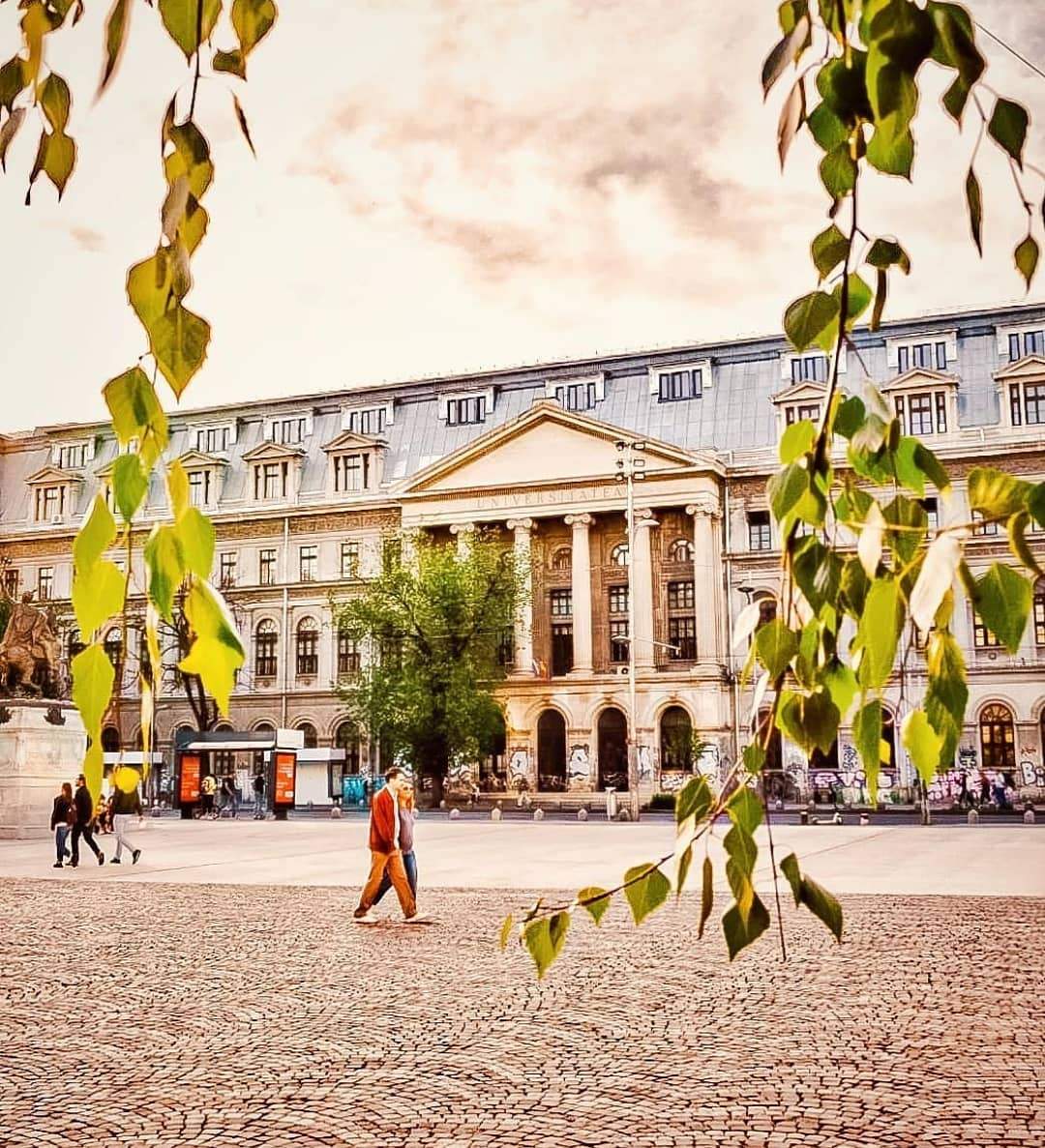 Vești bune pentru studenți! Universitatea din București își reia cursurile în format fizic din toamnă