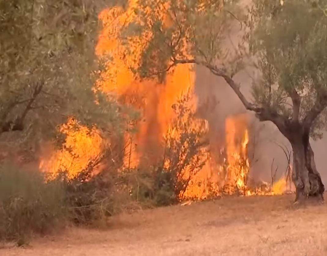 incendiu grecia