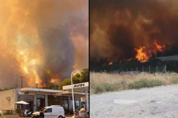 Vești bune pentru Grecia. Toate incendiile de vegetație sunt ținute sub control. Anunțul făcut de pompieri