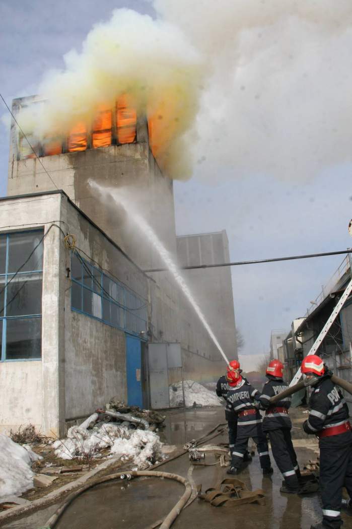 Incendiu violent la o hală din Mogoșoaia. Flăcările puternice au făcut prăpăd în jur/ FOTO