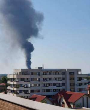 Incendiu violent la o hală din Mogoșoaia. Flăcările puternice au făcut prăpăd în jur/ FOTO