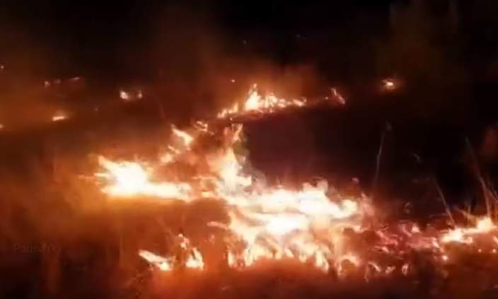 Incendiu de pădure devastator în comuna Inuri, județul Alba. Focul este întins pe 2.000 metri pătrați / FOTO