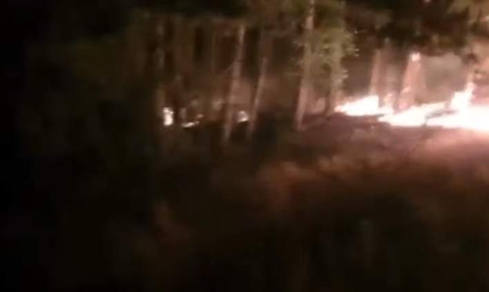 Incendiu de pădure devastator în comuna Inuri, județul Alba. Focul este întins pe 2.000 metri pătrați / FOTO