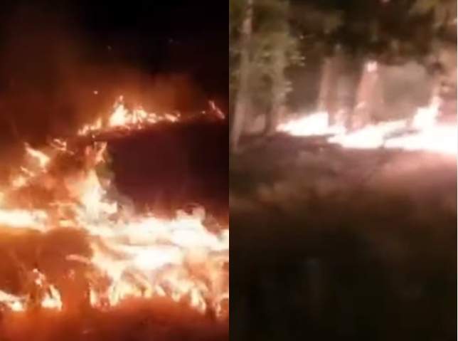 Incendiu de pădure devastator în comuna Inuri, județul Alba. Focul este întins pe 2.000 metri pătrați / FOTO