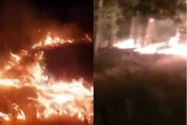 Incendiu de pădure devastator în comuna Inuri, județul Alba. Focul este întins pe 2.000 metri pătrați / FOTO
