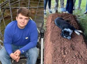 Un câine stă nedezlipit de mormântul stăpânului său, care a fost împușcat de fiul unui celebru judecător. Imaginile care fac înconjurul lumii / FOTO