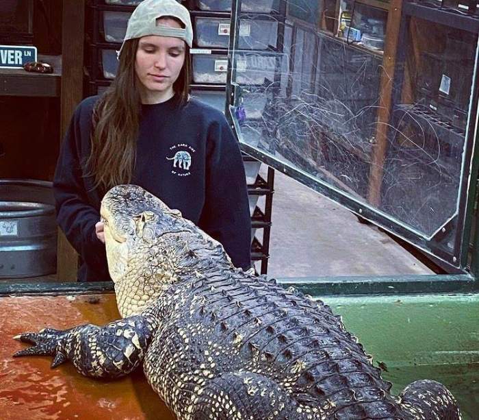 O îngrijitoare de animale, la un pas de moarte, după ce un aligator a atacat-o în faţa unui grup de copii: ”Reptila a avut o zi proastă” / FOTO
