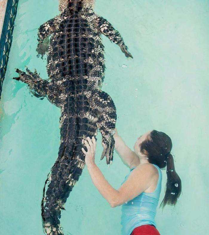 O îngrijitoare de animale, la un pas de moarte, după ce un aligator a atacat-o în faţa unui grup de copii: ”Reptila a avut o zi proastă” / FOTO