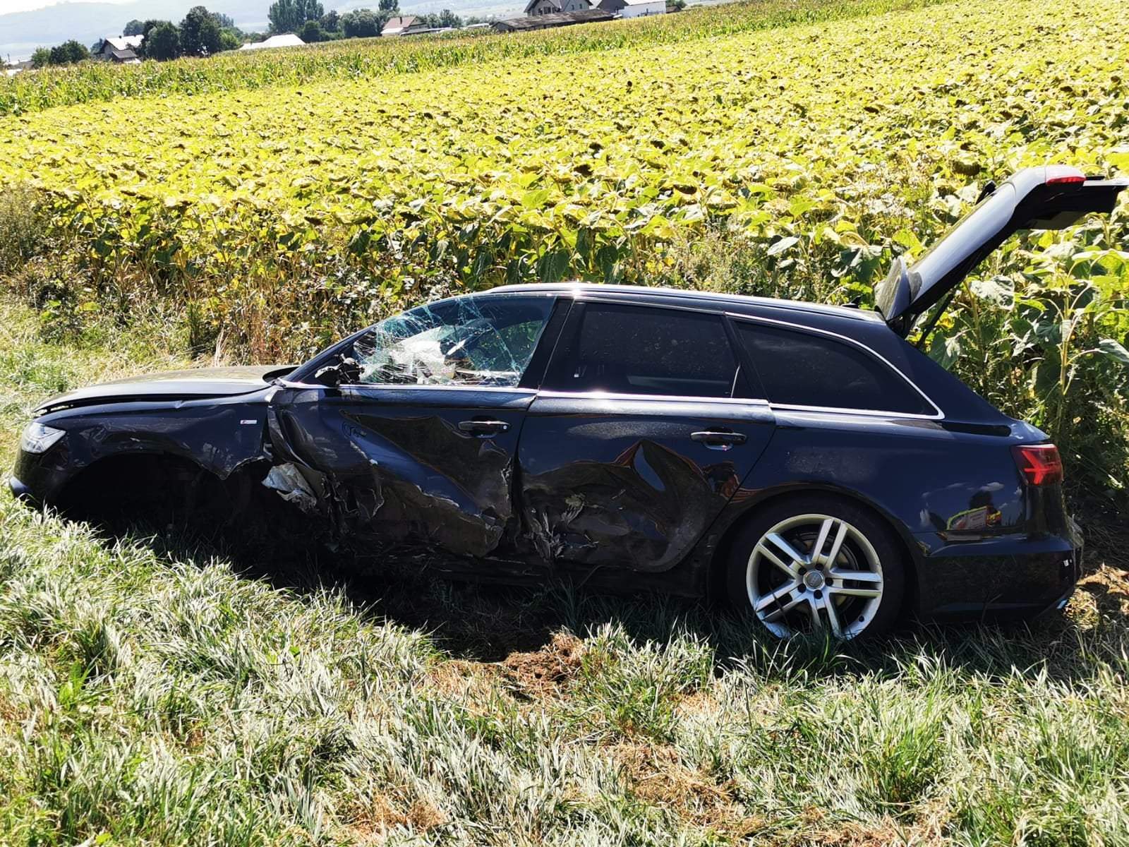 Două autoturisme s-au izbit puternic şi au aterizat în lanul de floarea soarelui, la Dărmăneşti. Șase adulți și trei copii se aflau în mașini  / FOTO