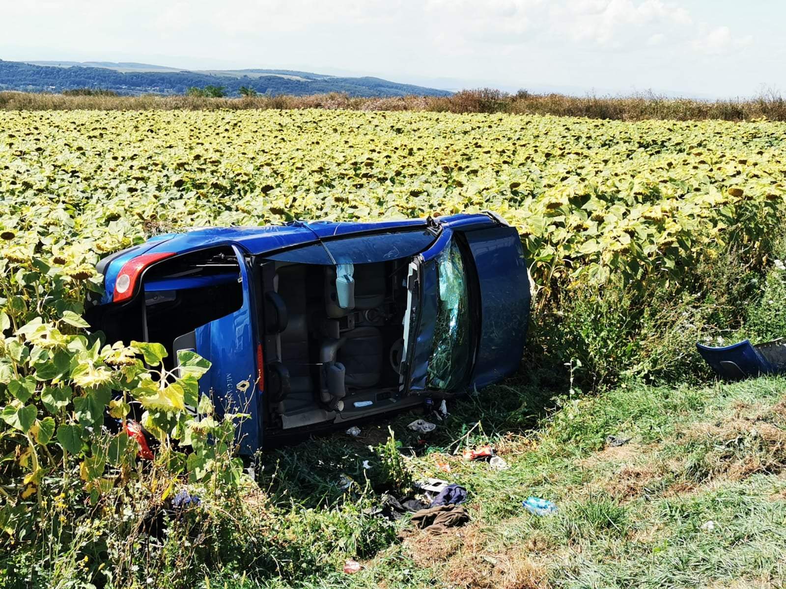 Două autoturisme s-au izbit puternic şi au aterizat în lanul de floarea soarelui, la Dărmăneşti. Șase adulți și trei copii se aflau în mașini  / FOTO