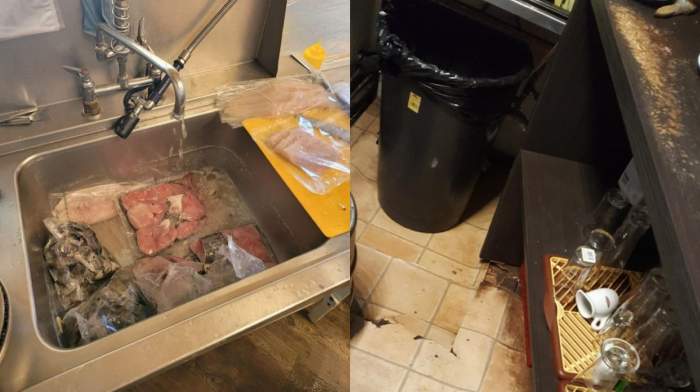 Produse expirate de 7 ani în restaurantele de pe litoral și Delta Dunării. Reacția inspectorilor ANPC / FOTO