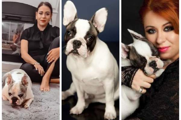Oana Roman și-a pierdut câinele! Vedeta cere ajutorul tuturor: „Nu știm ce să facem”