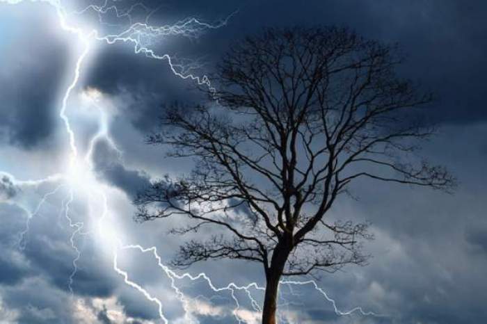 Un copac uscat și un cer cu fulgere