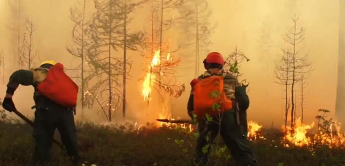 Incendiu violent de vegetație în Siberia! Locuitorii au fost nevoiți să își părăsească locuințele: „Nu ne amintim să fi existat vreodată o situație atât de gravă precum acum”
