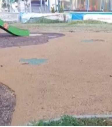 Descoperire șocantă într-un parc din București. Un șarpe de un metru a fost găsit la locul de joacă pentru copii / FOTO