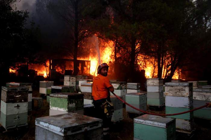Autoritățile din Atena sunt din ce în ce mai îngrijorate din cauza incendiilor violente de vegetație. Avertismentul primit de către locuitori: "Nu ieșiți din casă și..."