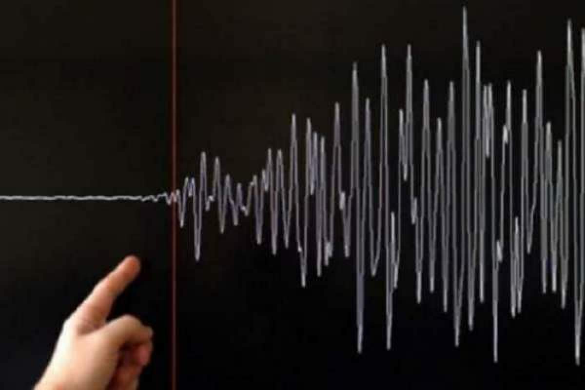 Cutremur în România, în urmă cu câteva minute. Seismul a avut loc în zona județului Buzău